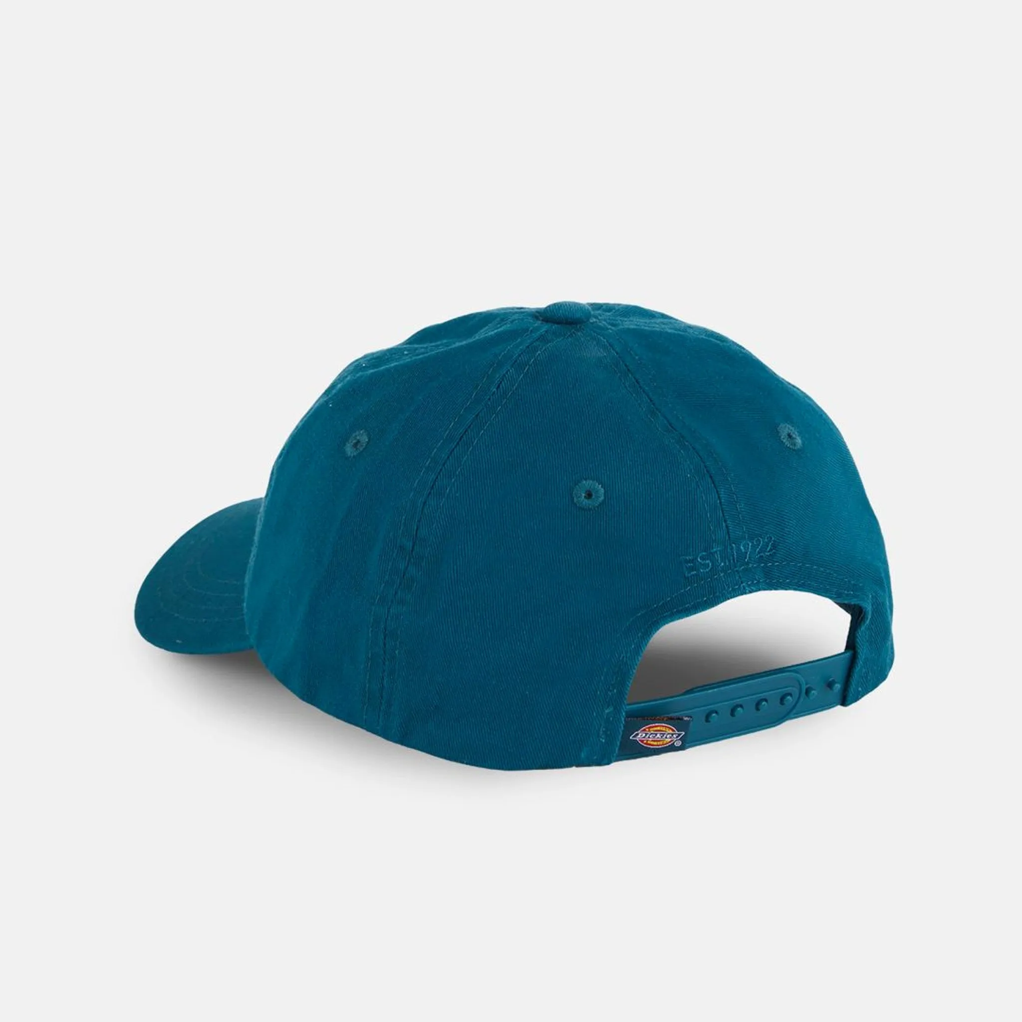 Dickies - Hardwick Snapback Cap - Reflecting Pond