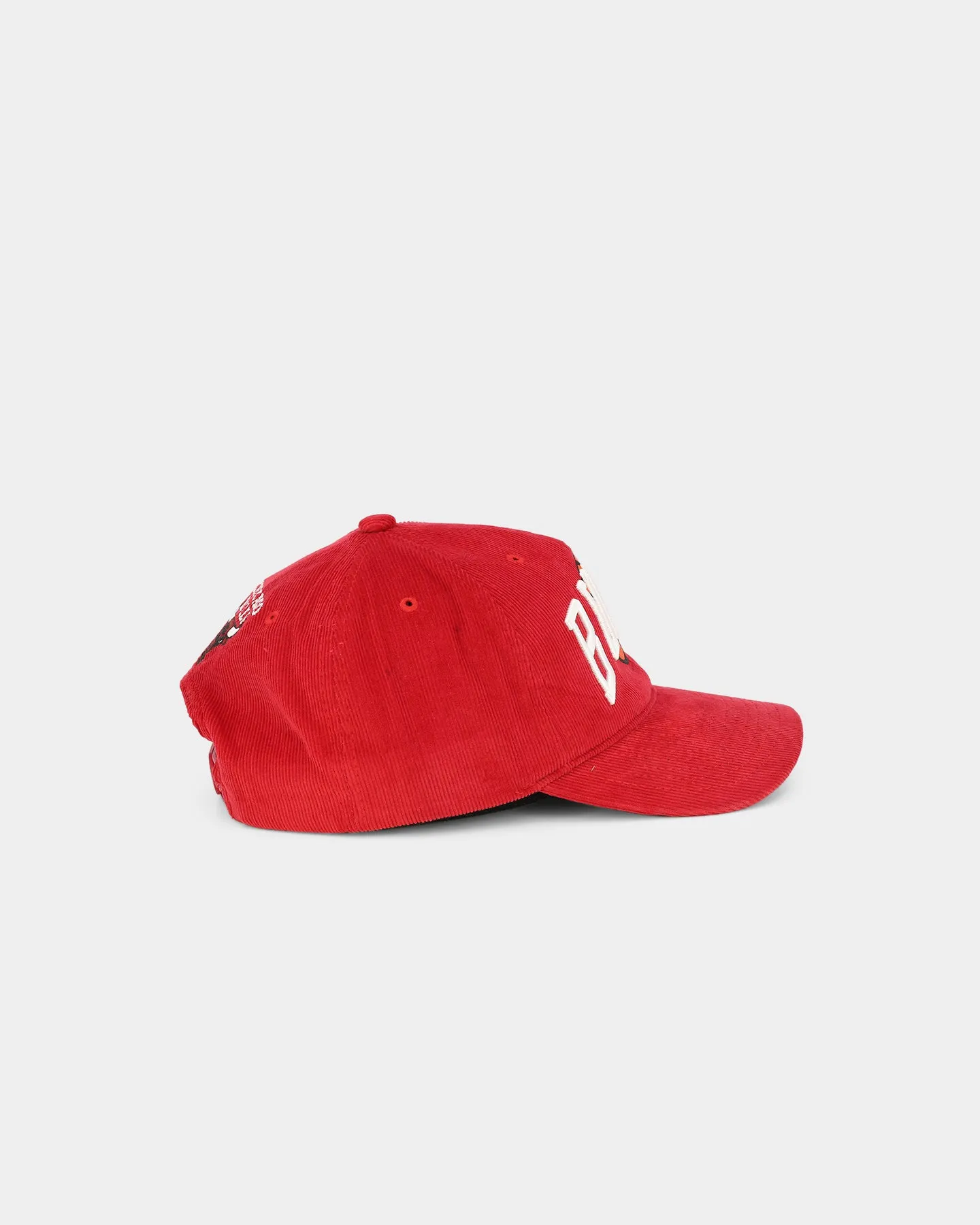 Mitchell & Ness Chicago Bulls 'Cord Arch' Dad Snapback Scarlet