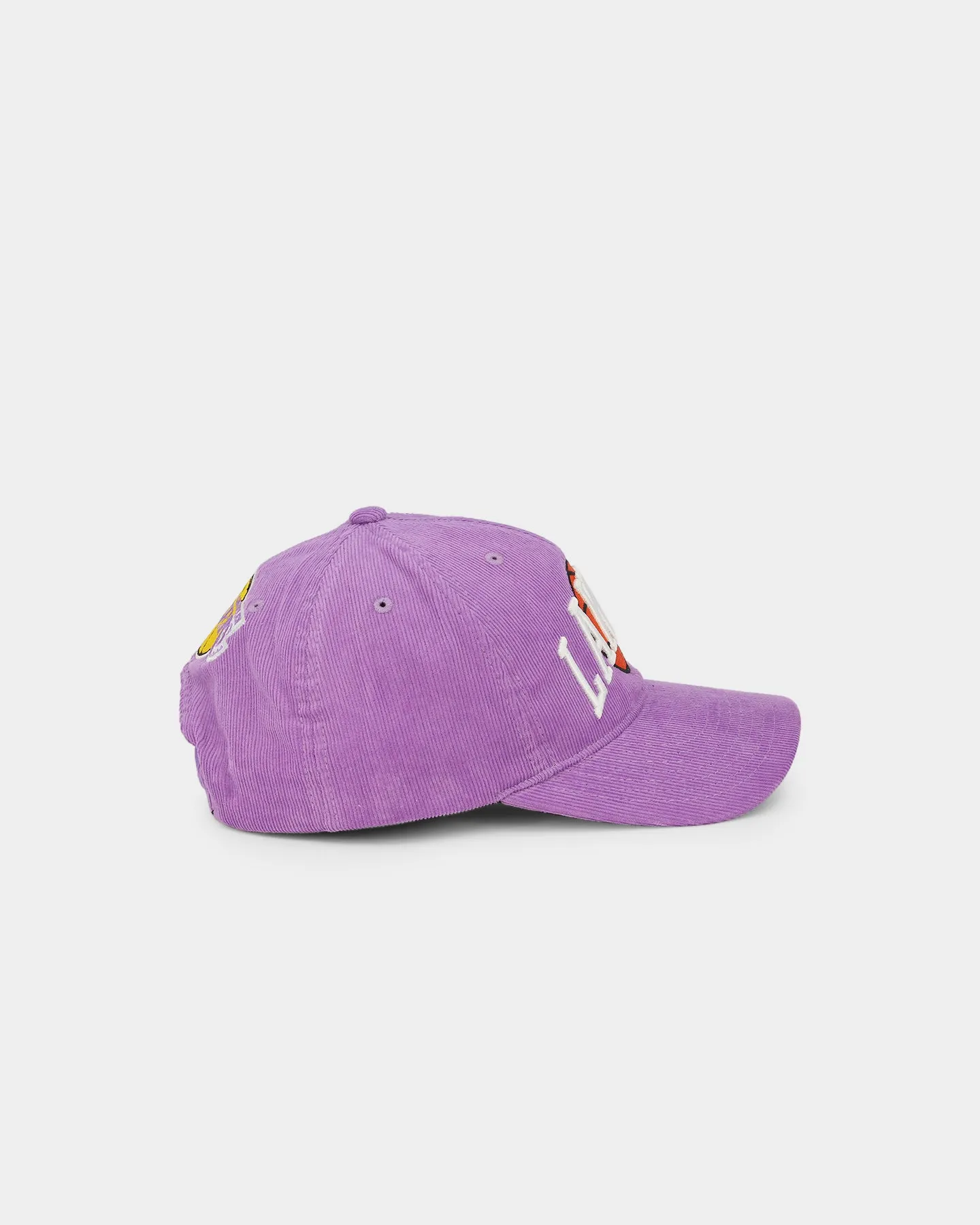 Mitchell & Ness Los Angeles Lakers 'Cord Arch' Dad Snapback Lilac